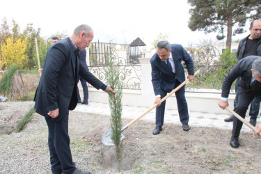Goranboyda “08 noyabr –Zəfər Günü” ilə bağlı Fəxralı kəndində növbəti ağacəkmə aksiyası keçirildi