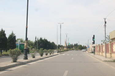 Gülə, çiçəyə bürünən Goranboy
