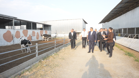 Goranboyda Dövlət Proqramının icrası ilə bağlı layihələr təhlil olunur