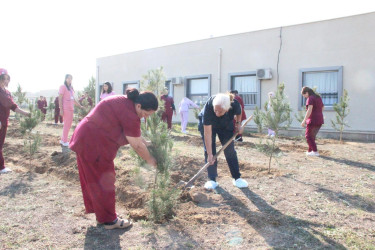 Goranboyda “08 noyabr –Zəfər Günü” ilə bağlı növbəti ağacəkmə aksiyası keçirildi