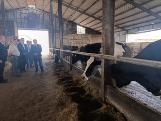 Goranboyda heyvandarlıq təsərrüfatına baxış keçirildi