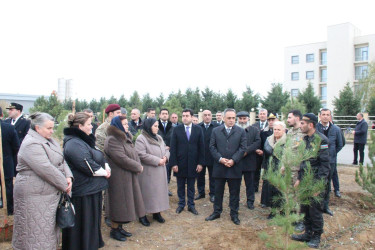 Goranboyda Ümummilli Lider Heydər Əliyevin anım günü ilə bağlı, ağacəkmə aksiyası təşkil olundu