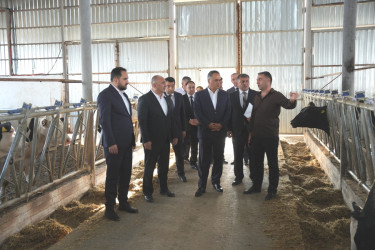 Goranboyda Dövlət Proqramının icrası ilə bağlı layihələr təhlil olunur