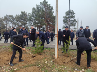 Goranboyda, Xocalı soyqırımı qurbanlarının xatirəsinə həsr olunmuş ağacəkmə aksiyası keçirildi