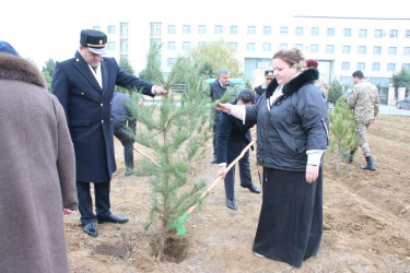 Goranboyda Ümummilli Lider Heydər Əliyevin anım günü ilə bağlı, ağacəkmə aksiyası təşkil olundu
