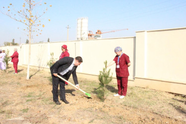 Goranboyda “08 noyabr –Zəfər Günü” ilə bağlı növbəti ağacəkmə aksiyası keçirildi