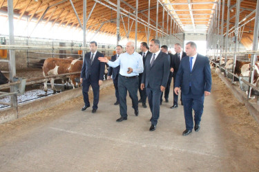 Goranboyda heyvandarlıq təsərrüfatlarına baxış davam etdirilir