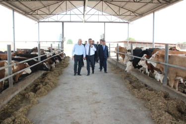 Goranboyda heyvandarlıq təsərrüfatlarına baxış davam etdirilir