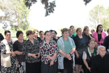 Səyyar qəbul