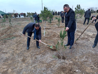 Goranboyda Ümummilli Lider Heydər Əliyevin anım günü ilə bağlı, ağacəkmə aksiyası təşkil olundu