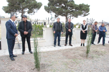Goranboyda “08 noyabr –Zəfər Günü” ilə bağlı Fəxralı kəndində növbəti ağacəkmə aksiyası keçirildi