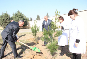 Goranboyda “08 noyabr –Zəfər Günü” ilə bağlı növbəti ağacəkmə aksiyası keçirildi