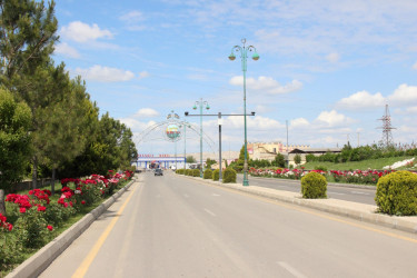Gül-çiçəyə bürünən Goranboy. 2024