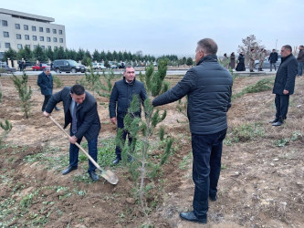 Goranboyda Ümummilli Lider Heydər Əliyevin anım günü ilə bağlı, ağacəkmə aksiyası təşkil olundu