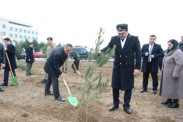 Goranboyda Ümummilli Lider Heydər Əliyevin anım günü ilə bağlı, ağacəkmə aksiyası təşkil olundu