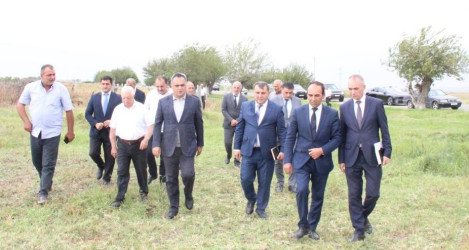Goranboyda İcra Başçısı pambıq sahələrində yığıma hazırlığın vəziyyəti ilə maraqlandı