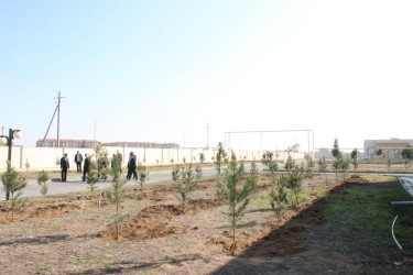 Goranboyda “08 noyabr –Zəfər Günü” ilə bağlı növbəti ağacəkmə aksiyası keçirildi