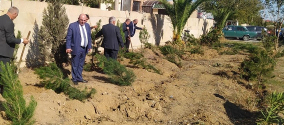 Goranboyda “08 noyabr –Zəfər Günü” ilə bağlı ağacəkmə aksiyası keçirildi