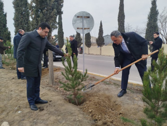 Goranboyun 2026-cı il üçün "Gənclər Paytaxtı" seçilməsi ilə bağlı “Gənclər həftəsi” çərçivəsində ağacəkmə aksiyası keçirildi