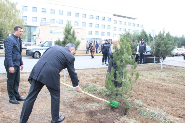 Goranboyda Ümummilli Lider Heydər Əliyevin anım günü ilə bağlı, ağacəkmə aksiyası təşkil olundu