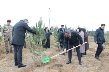 Goranboyda Ümummilli Lider Heydər Əliyevin anım günü ilə bağlı, ağacəkmə aksiyası təşkil olundu