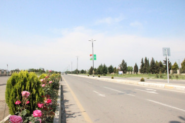 Gülə, çiçəyə bürünən Goranboy
