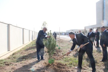 Goranboyda “08 noyabr –Zəfər Günü” ilə bağlı növbəti ağacəkmə aksiyası keçirildi