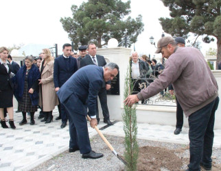 Goranboyda “08 noyabr –Zəfər Günü” ilə bağlı Fəxralı kəndində növbəti ağacəkmə aksiyası keçirildi