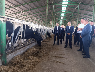 Goranboyda icra başçısı “Türk Qida Sənaye” MMC-yə məxsus heyvandarlıq kompleksində oldu