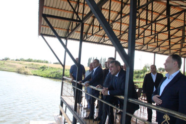 Goranboy Rayon İcra Hakimiyyətinin başçısı rayon ərazisində növbəti təsərrüfata baxış keçirdi