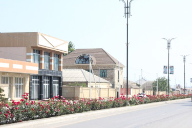 Gülə, çiçəyə bürünən Goranboy