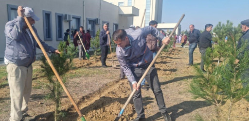 Goranboyda “08 noyabr –Zəfər Günü” ilə bağlı növbəti ağacəkmə aksiyası keçirildi