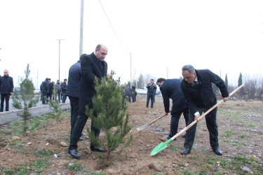 Goranboyda, Xocalı soyqırımı qurbanlarının xatirəsinə həsr olunmuş ağacəkmə aksiyası keçirildi