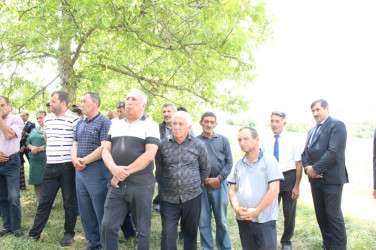 Səyyar qəbul