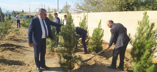 Goranboyda “08 noyabr –Zəfər Günü” ilə bağlı ağacəkmə aksiyası keçirildi