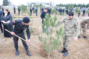 Goranboyda Ümummilli Lider Heydər Əliyevin anım günü ilə bağlı, ağacəkmə aksiyası təşkil olundu