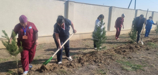 Goranboyda “08 noyabr –Zəfər Günü” ilə bağlı növbəti ağacəkmə aksiyası keçirildi