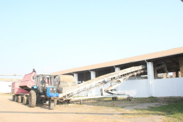 Goranboyda icra başçısı  pambıq qəbulu məntəqəsində oldu