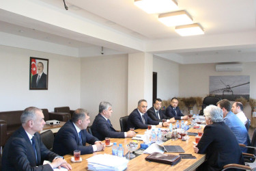 Goranboyda icra başçısı "Region Aqro" MMC-də oldu