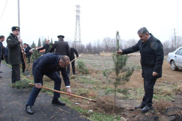 Goranboyda, Xocalı soyqırımı qurbanlarının xatirəsinə həsr olunmuş ağacəkmə aksiyası keçirildi
