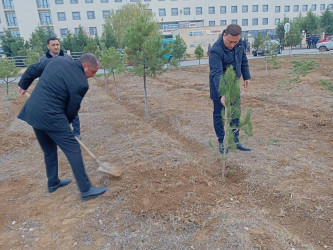 Goranboyda Ümummilli Lider Heydər Əliyevin anım günü ilə bağlı, ağacəkmə aksiyası təşkil olundu