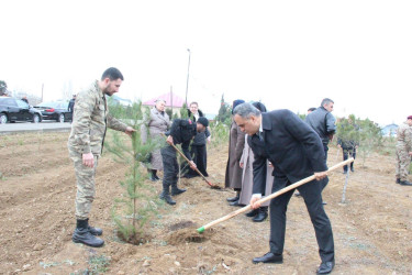 Goranboyda Ümummilli Lider Heydər Əliyevin anım günü ilə bağlı, ağacəkmə aksiyası təşkil olundu