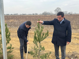 Goranboyun 2026-cı il üçün "Gənclər Paytaxtı" seçilməsi ilə bağlı “Gənclər həftəsi” çərçivəsində ağacəkmə aksiyası keçirildi