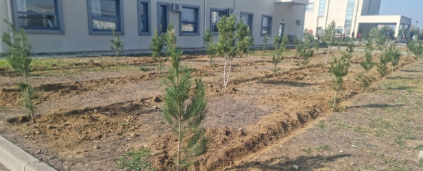 Goranboyda “08 noyabr –Zəfər Günü” ilə bağlı növbəti ağacəkmə aksiyası keçirildi