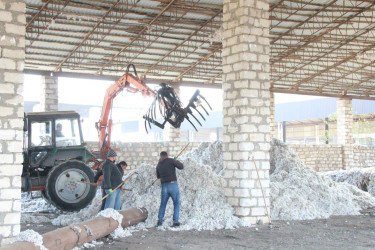 Goranboyda icra başçısı  pambıq qəbulu məntəqəsində oldu