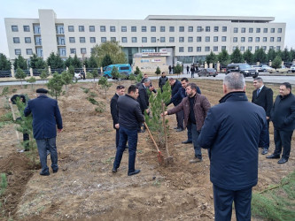 Goranboyda Ümummilli Lider Heydər Əliyevin anım günü ilə bağlı, ağacəkmə aksiyası təşkil olundu