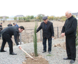 Goranboyda “08 noyabr –Zəfər Günü” ilə bağlı Fəxralı kəndində növbəti ağacəkmə aksiyası keçirildi