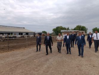 Goranboyda heyvandarlıq təsərrüfatına baxış keçirildi