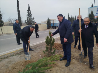 Goranboyun 2026-cı il üçün "Gənclər Paytaxtı" seçilməsi ilə bağlı “Gənclər həftəsi” çərçivəsində ağacəkmə aksiyası keçirildi