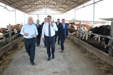 Goranboyda heyvandarlıq təsərrüfatlarına baxış davam etdirilir
